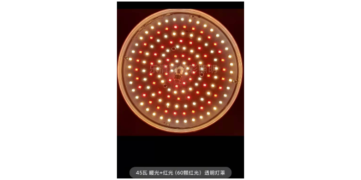 江蘇海鮮提鮮燈價(jià)格「樂(lè )清市真精彩照明電器供應」