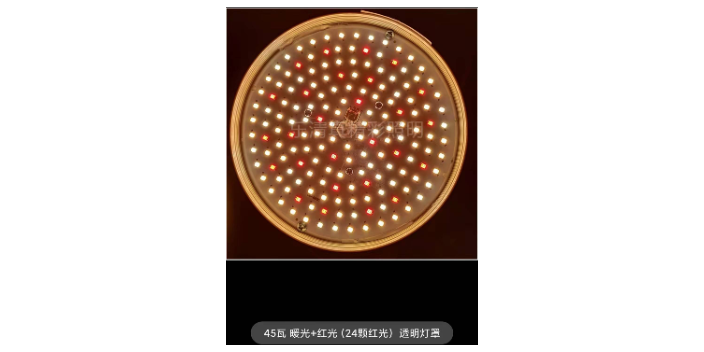 廣東市場(chǎng)提鮮燈現貨「樂(lè )清市真精彩照明電器供應」